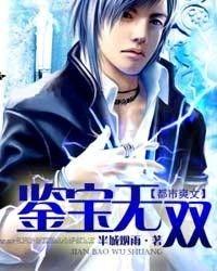 新鉴宝无双,揭秘古董鉴宝界的传奇故事