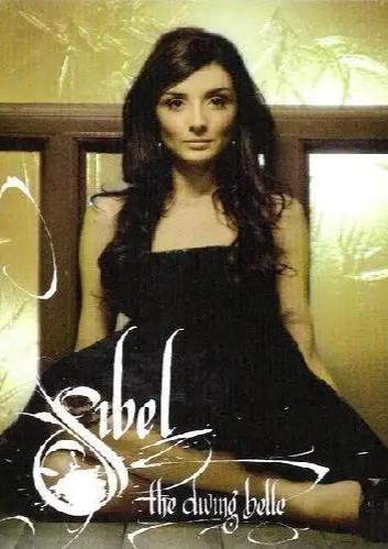 西贝尔 Sibel,探索智能科技的魅力与未来